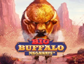 game logo by Skywind Group on wolfcasino.eu
