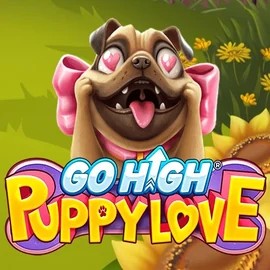 game logo by RubyPlay on wolfcasino.eu